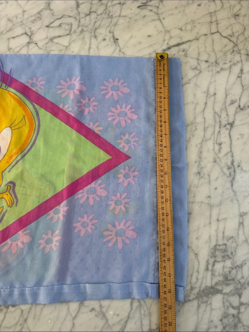 VTG Tweety Bird Pillowcase 2000 Pastel Colors